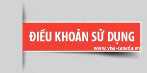 Điều khoản sử dụng