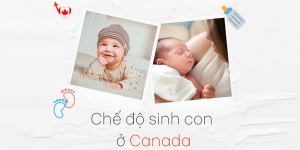 Chế độ sinh con ở Canada: Phụ nữ trước và sau sinh tại Canada được hưởng những phúc lợi gì?