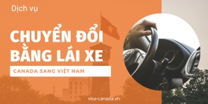 Dịch vụ chuyển đổi bằng lái xe Canada sang bằng lái xe Việt Nam