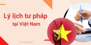 Lý lịch tư pháp tại Việt Nam